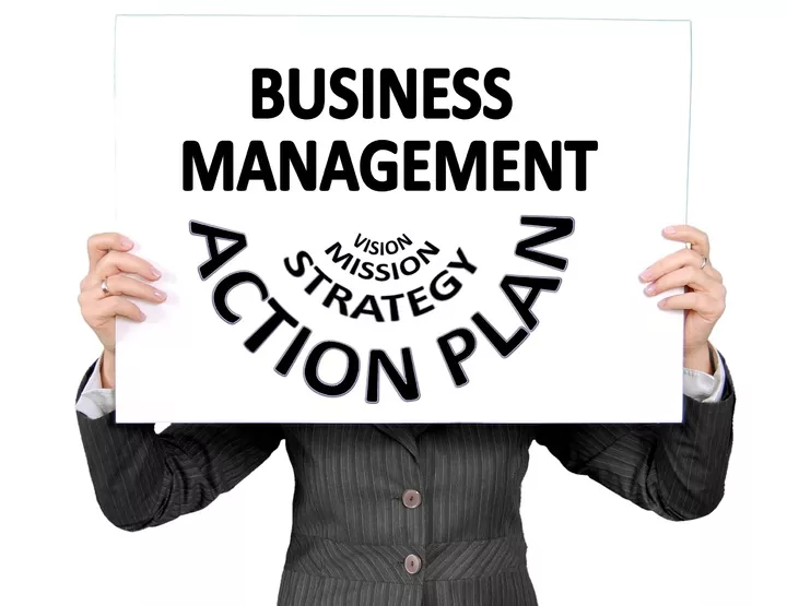 Business Management. Vision, Mission, Strategy, Action Plan